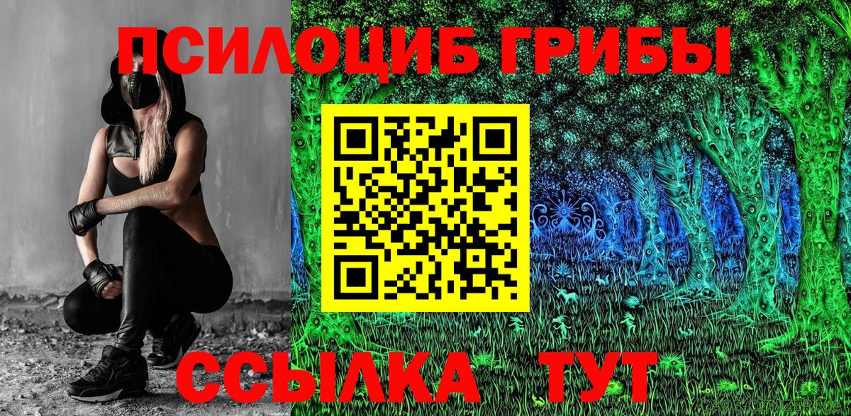 Галлюциногенные грибы GOLDEN TEACHER  Вход с VPN  купить  сайты  Михайловск 