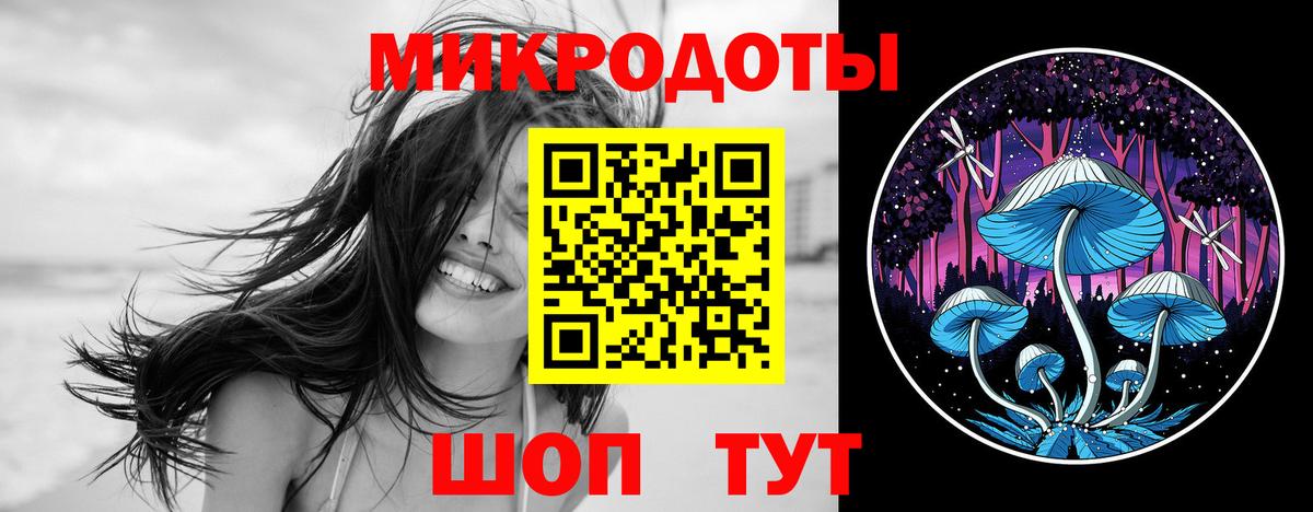 Галлюциногенные грибы Cubensis Михайловск
