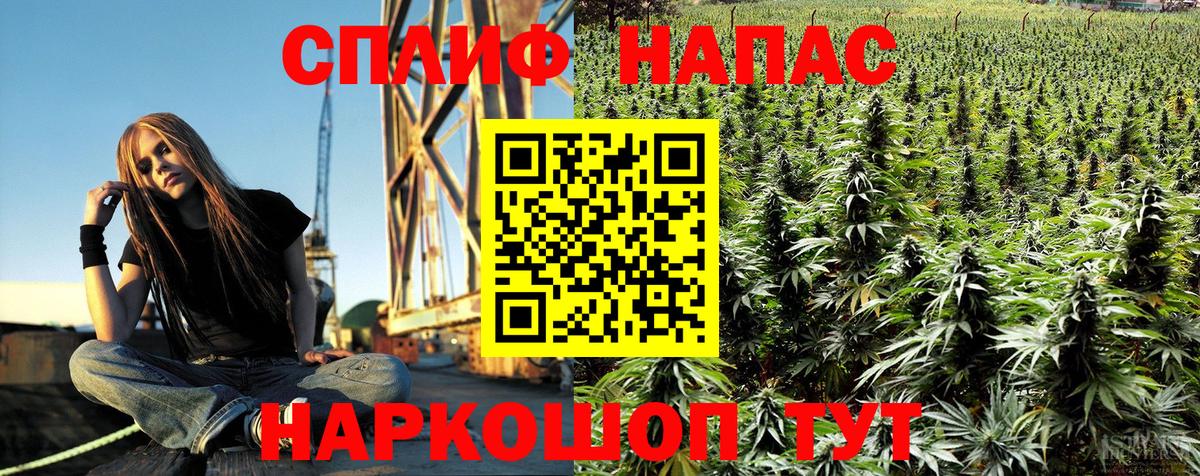 Каннабис MAZAR  Вход с VPN  Бошки марихуана Ganja  Михайловск 